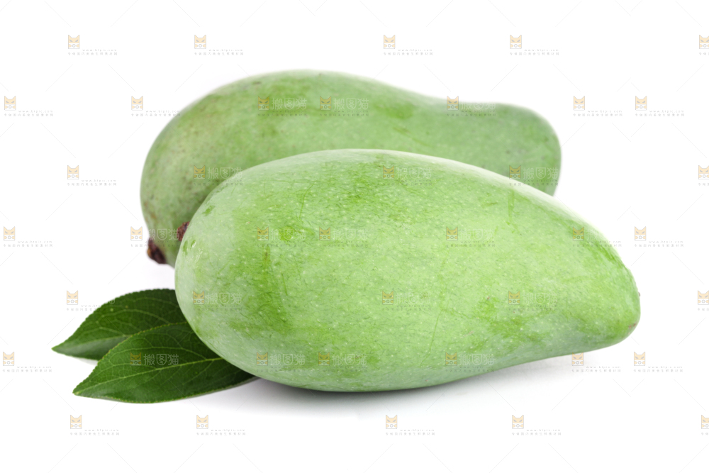 白底上的象牙芒