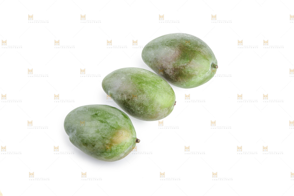 白底上的凯特芒