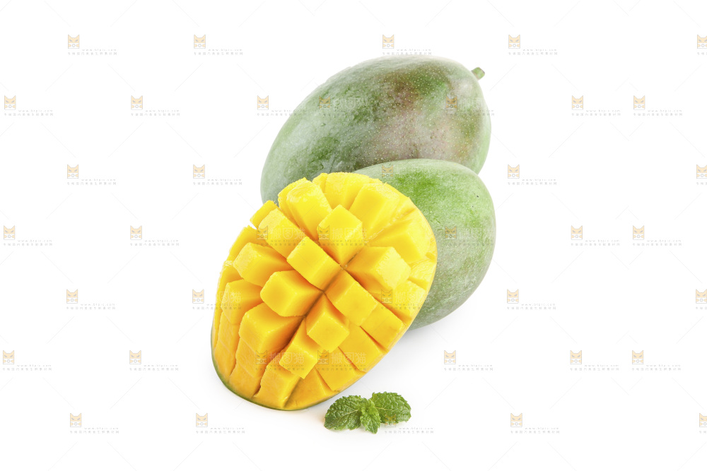 白底上的凯特芒