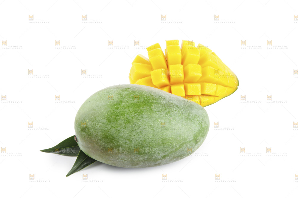 白底上的凯特芒