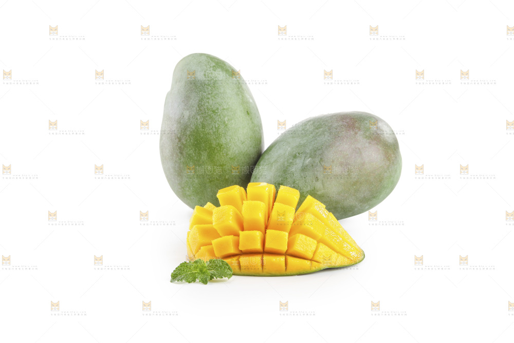 白底上的凯特芒