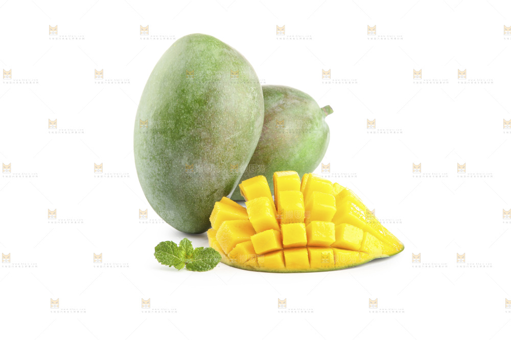 白底上的凯特芒