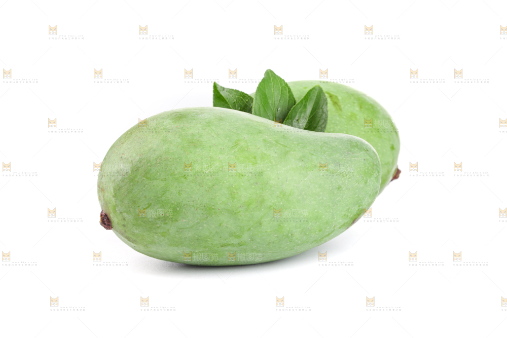 白底上的象牙芒