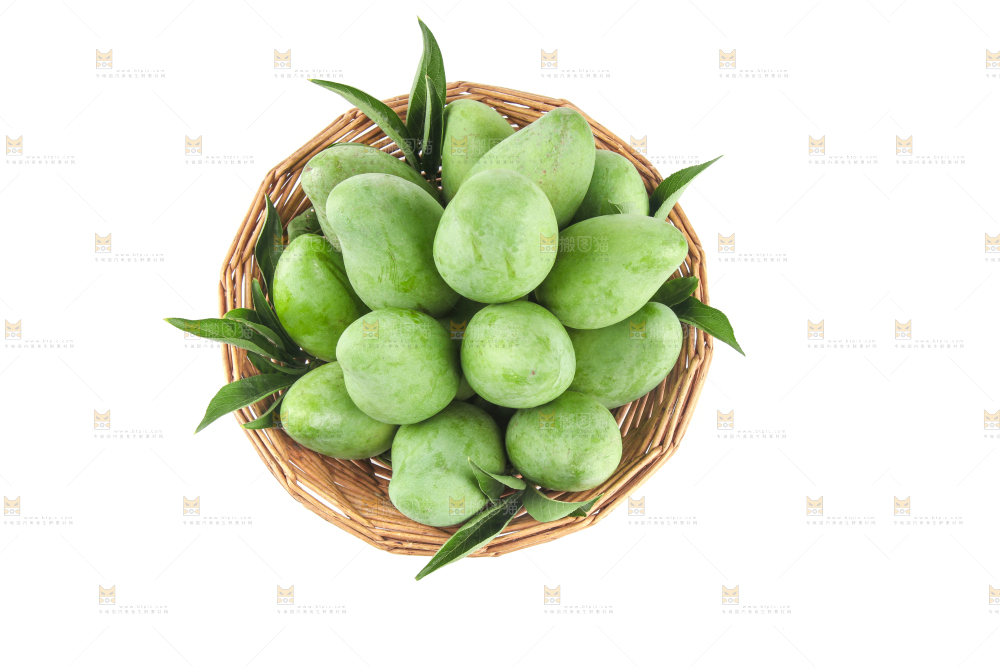 白底上的象牙芒