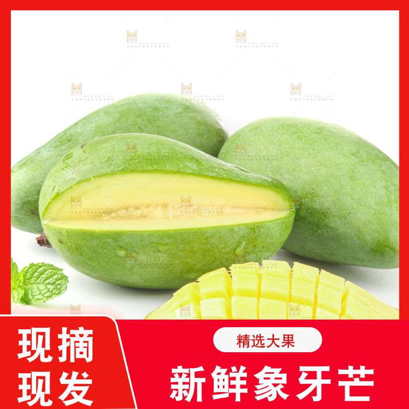 白底上的象牙芒