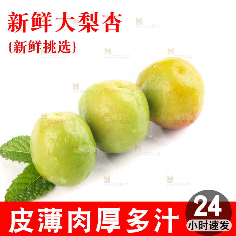 白底上的大梨杏