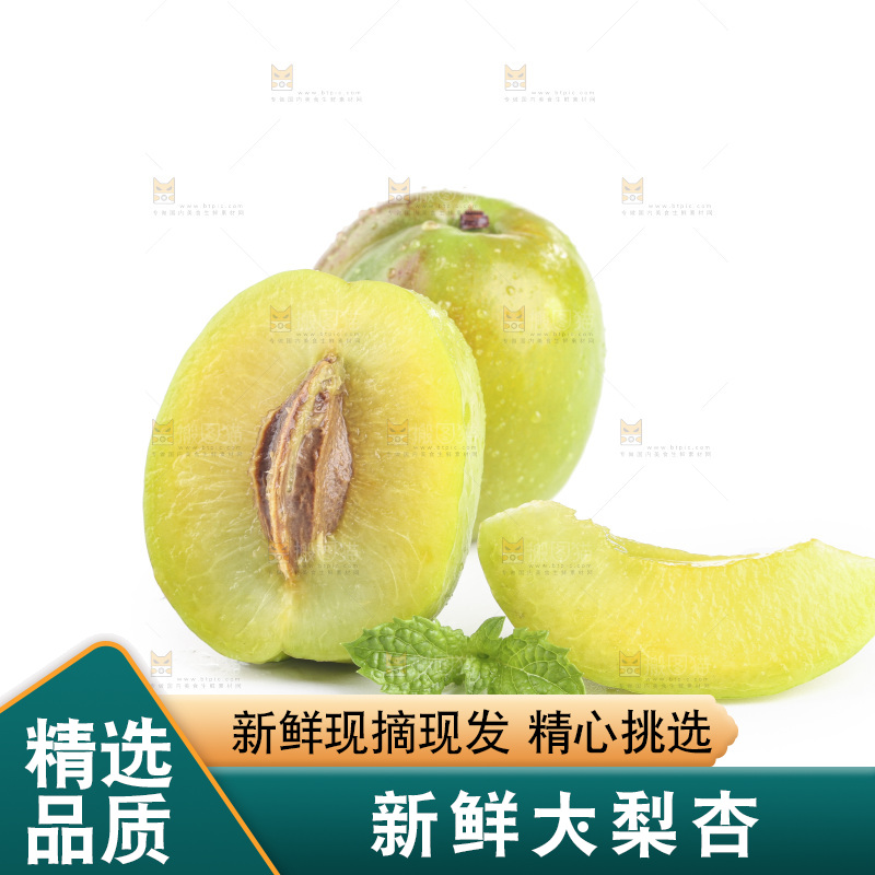 白底上的大梨杏