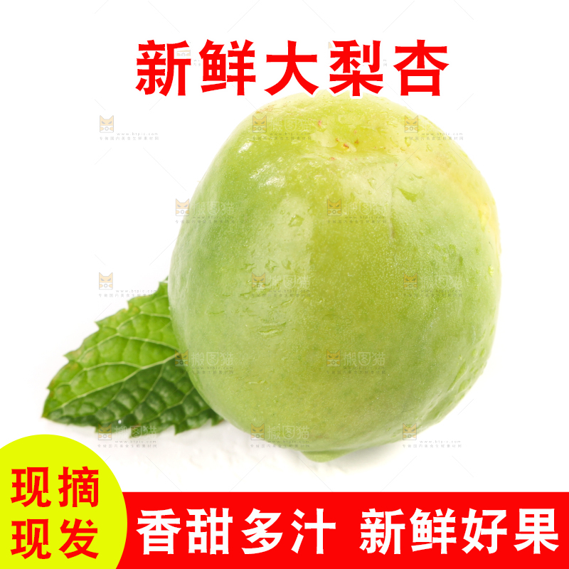 白底上的大梨杏