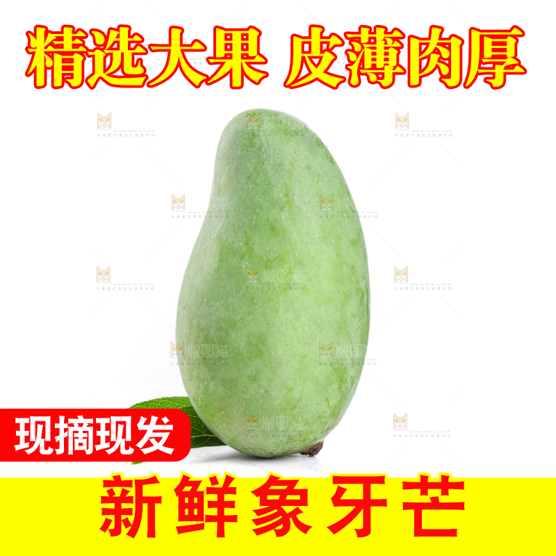 白底上的象牙芒