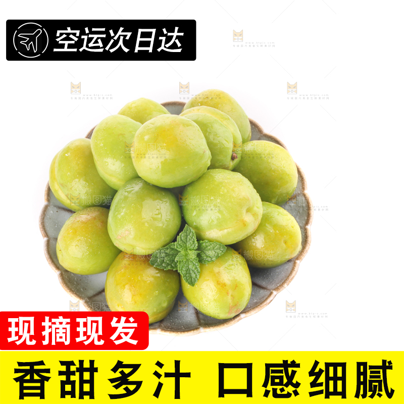 白底上的大梨杏
