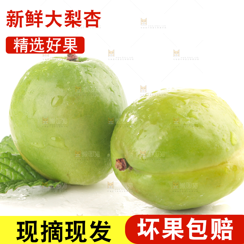白底上的大梨杏