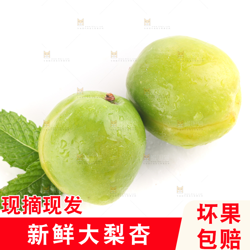 白底上的大梨杏