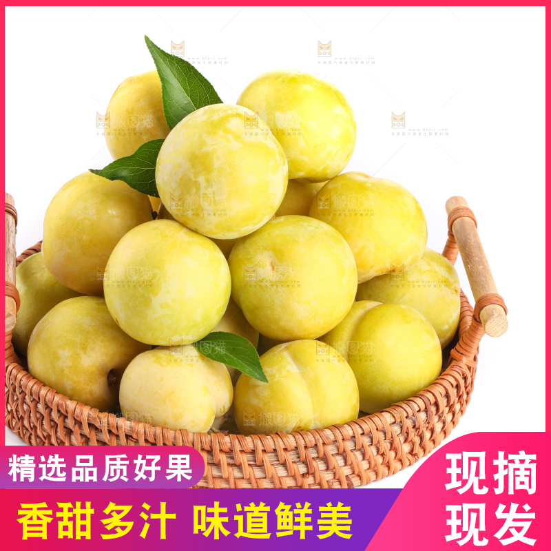 白底上的象牙芒