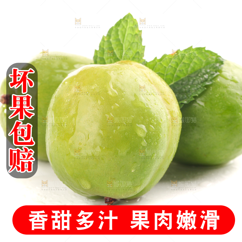 白底上的大梨杏
