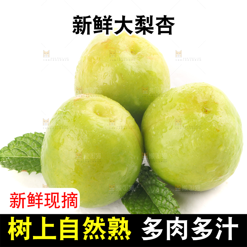 白底上的大梨杏