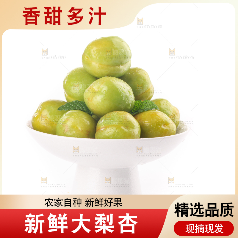 白底上的大梨杏