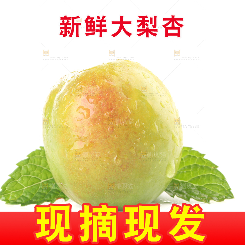 白底上的大梨杏