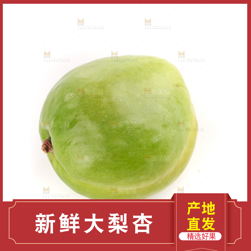 白底上的大梨杏