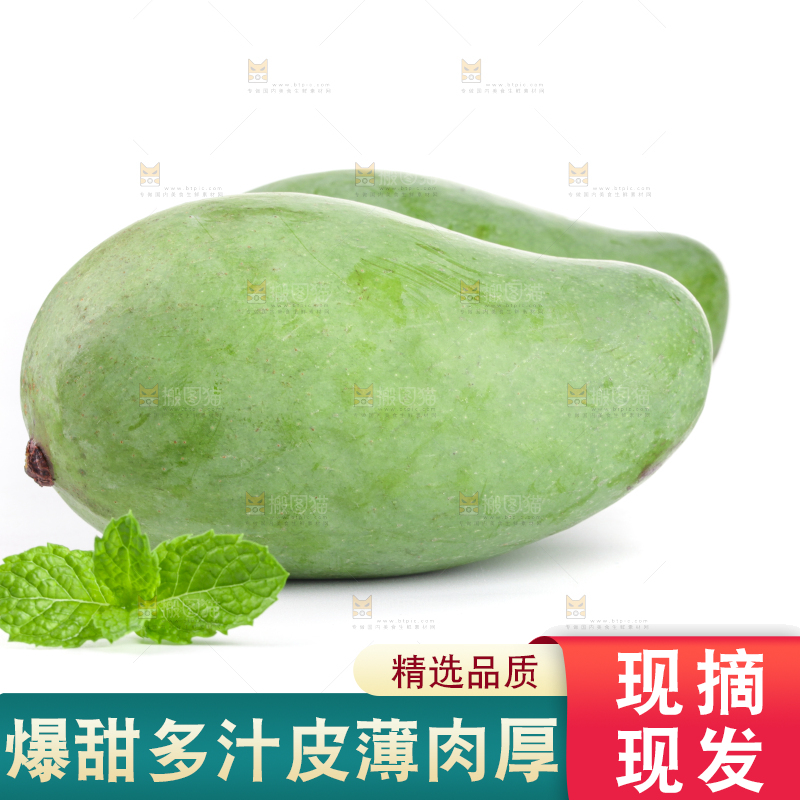 白底上的象牙芒