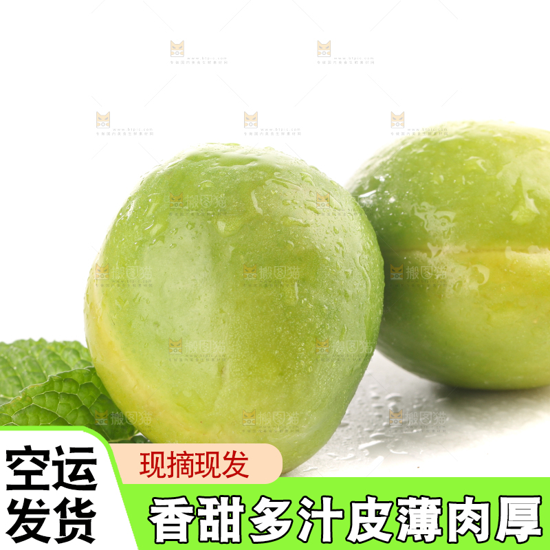 白底上的大梨杏