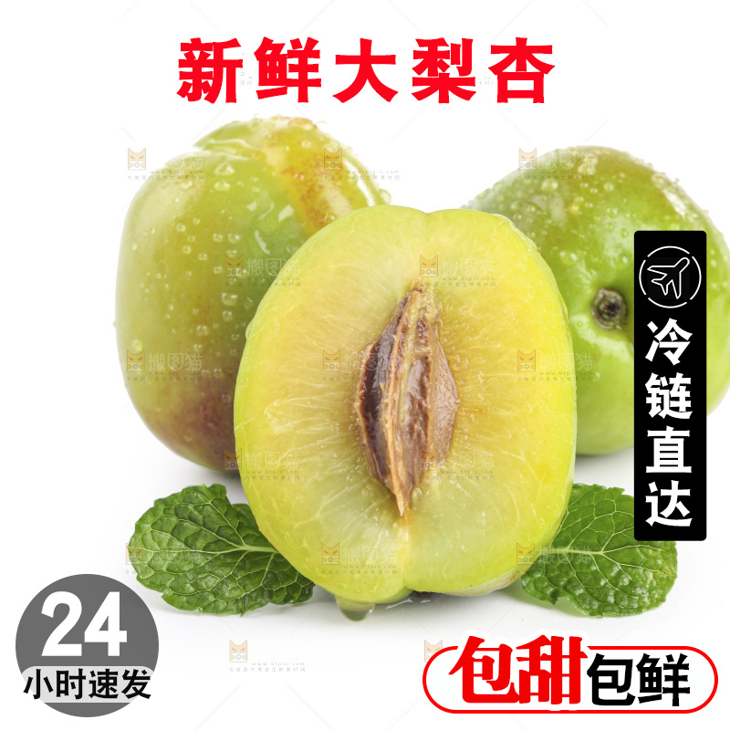 白底上的大梨杏