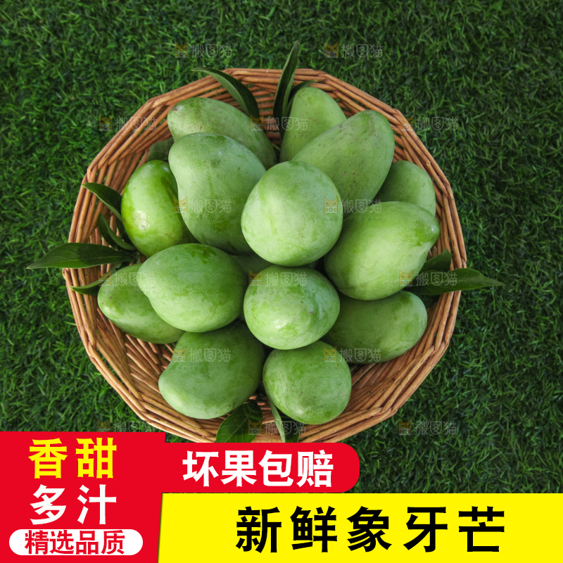 草地上的象牙芒