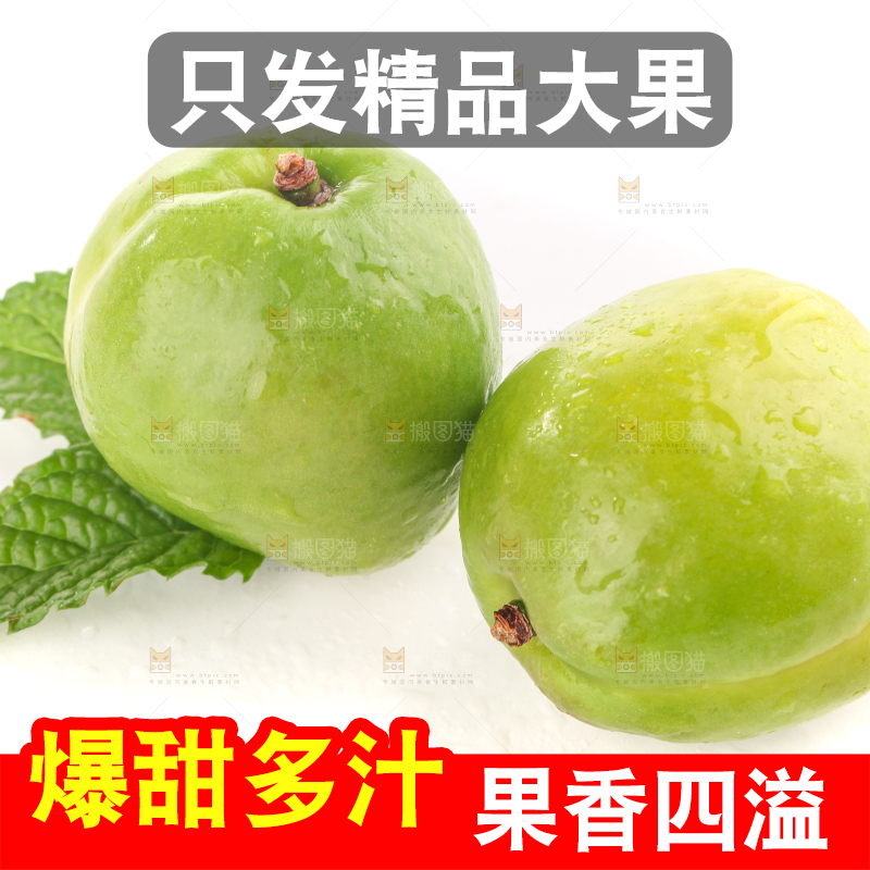 白底上的大梨杏