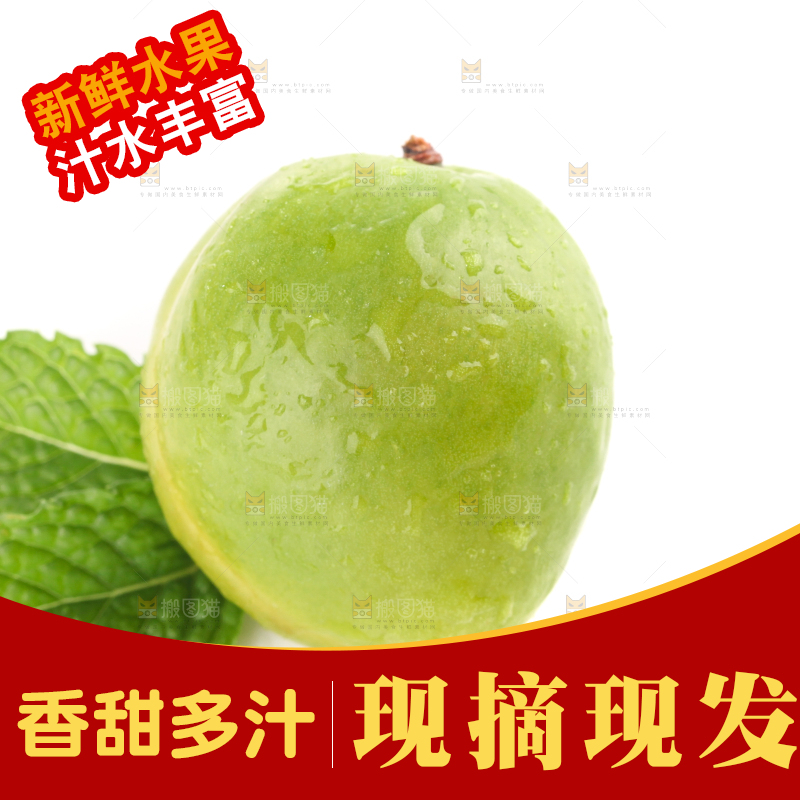 白底上的大梨杏