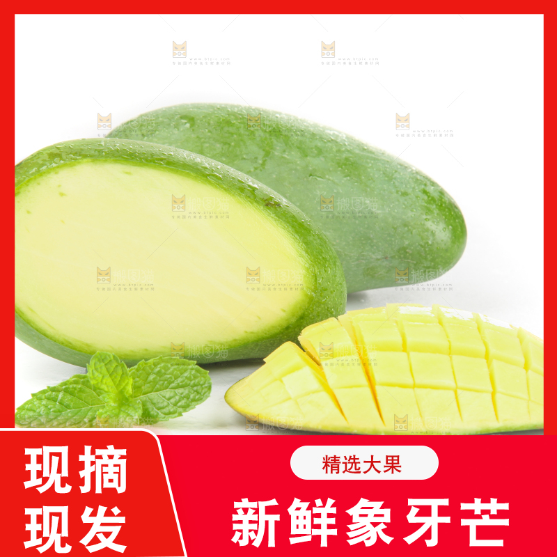白底上的象牙芒