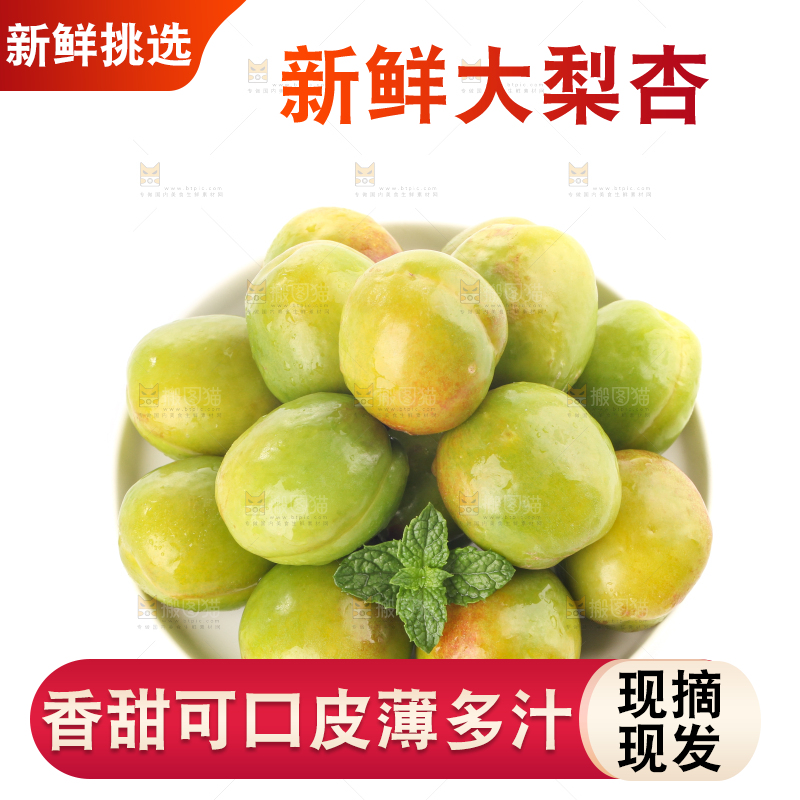 白底上的大梨杏