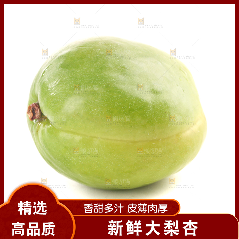白底上的大梨杏