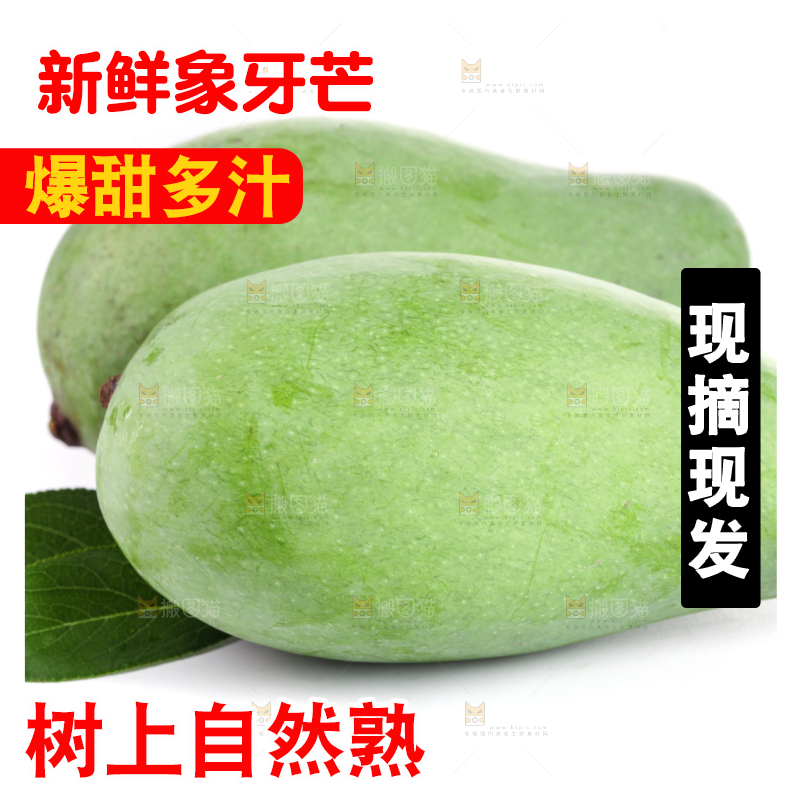白底上的象牙芒