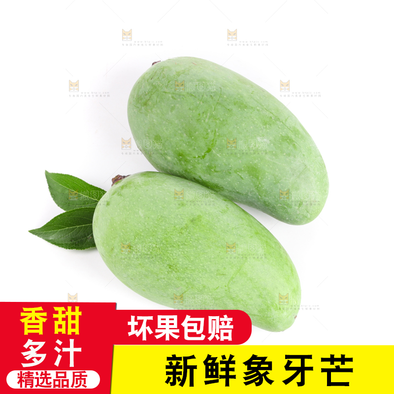 白底上的象牙芒