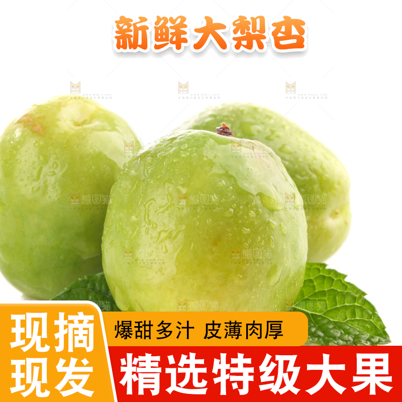 白底上的大梨杏