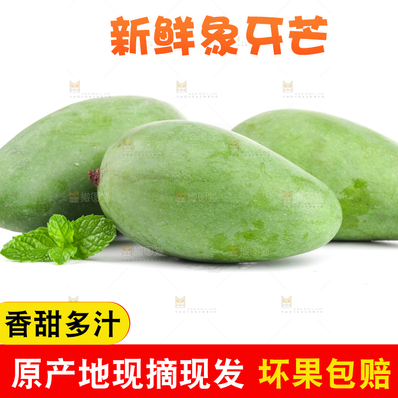 白底上的象牙芒