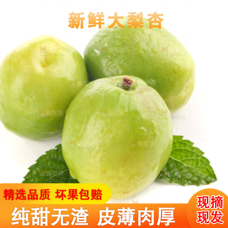 白底上的大梨杏