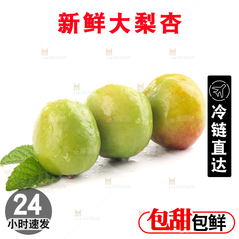 白底上的大梨杏
