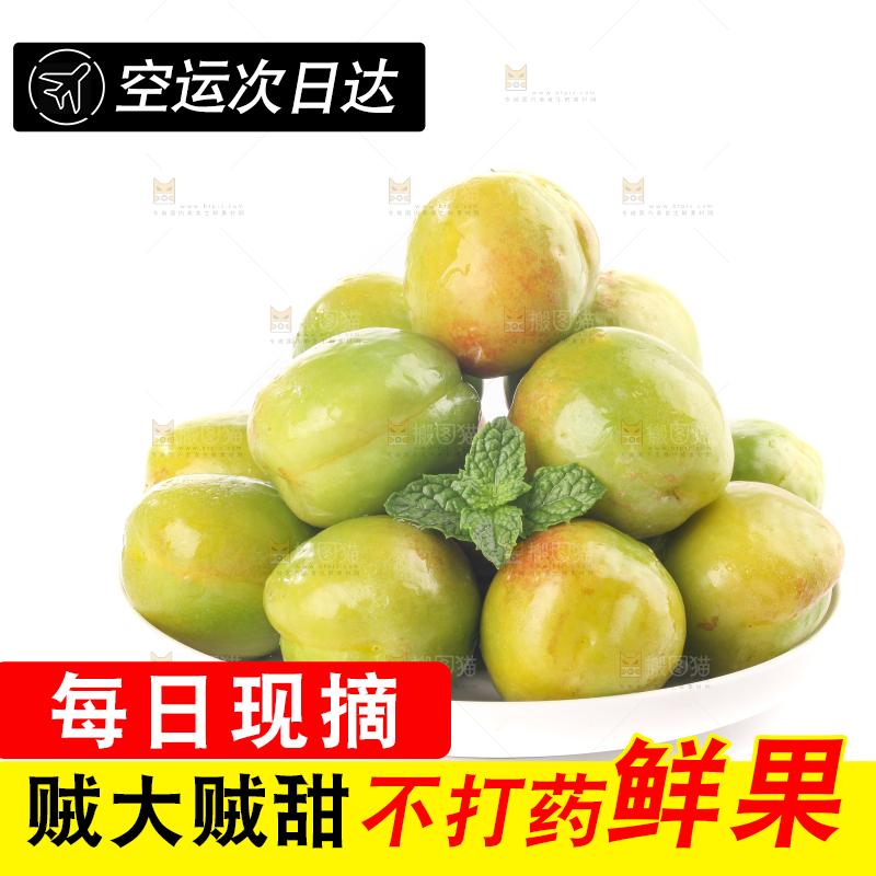 白底上的大梨杏