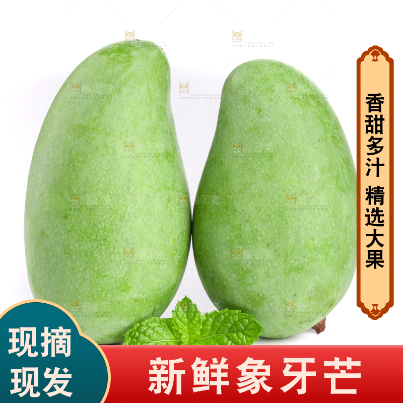 白底上的象牙芒