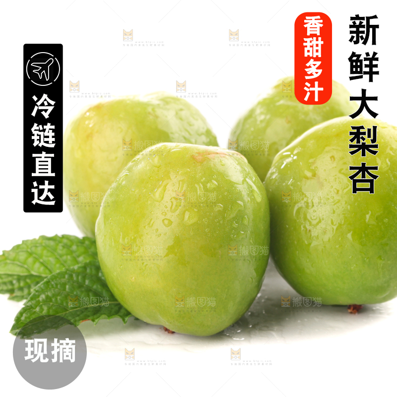 白底上的大梨杏