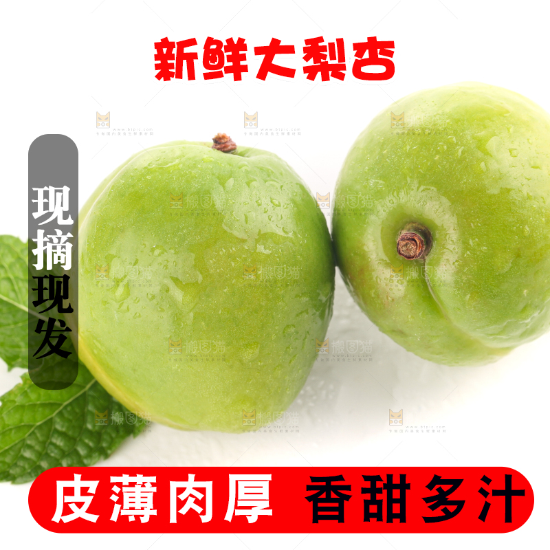 白底上的大梨杏