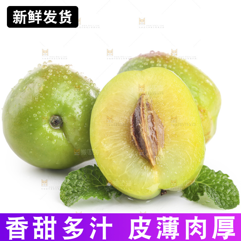 白底上的大梨杏