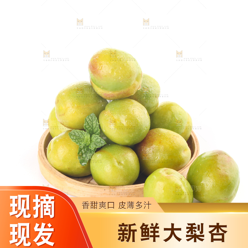 白底上的大梨杏