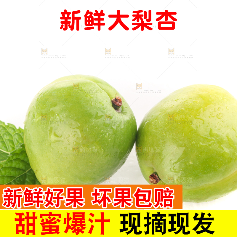 白底上的大梨杏