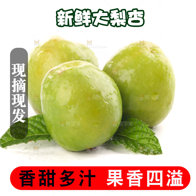 白底上的大梨杏