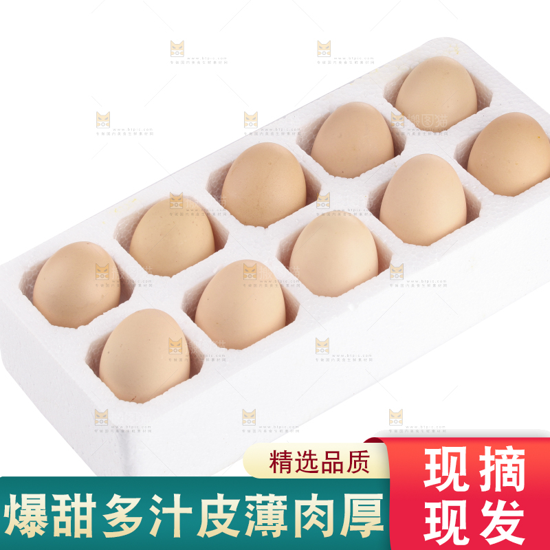 白底上的象牙芒