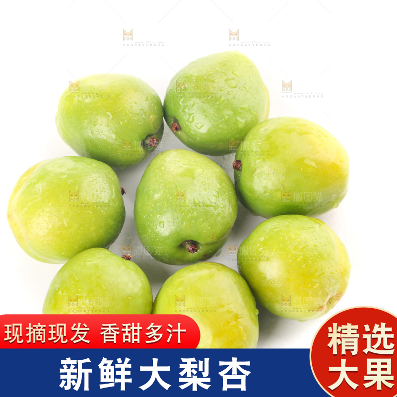 白底上的大梨杏