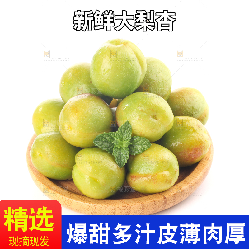 白底上的大梨杏