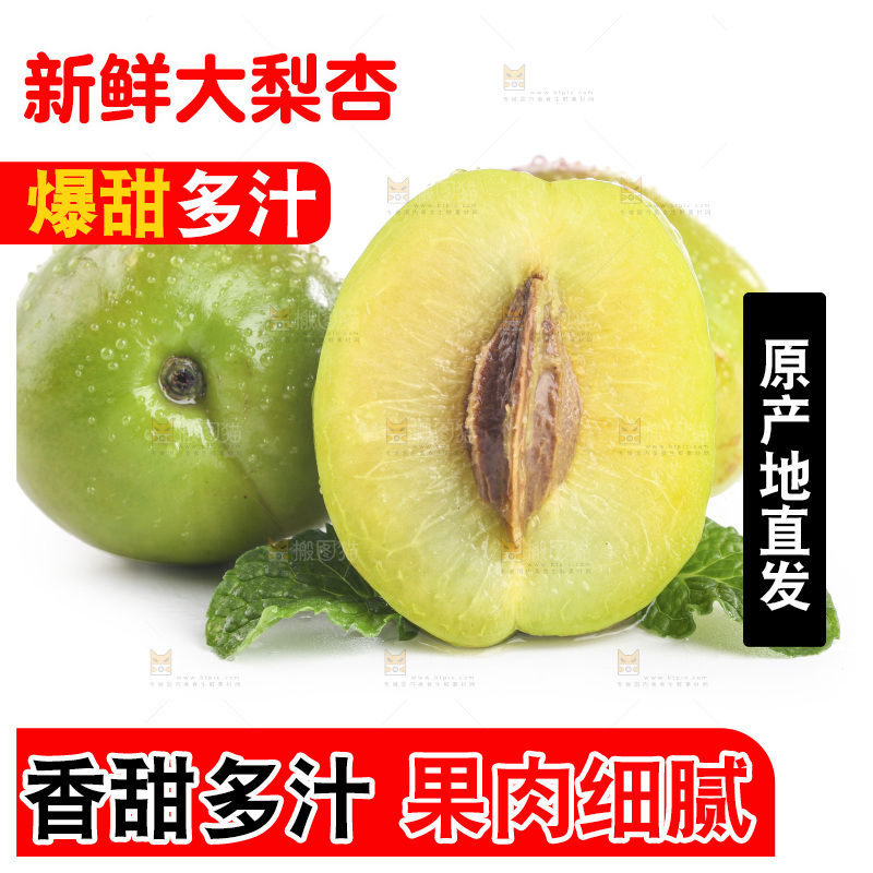白底上的大梨杏