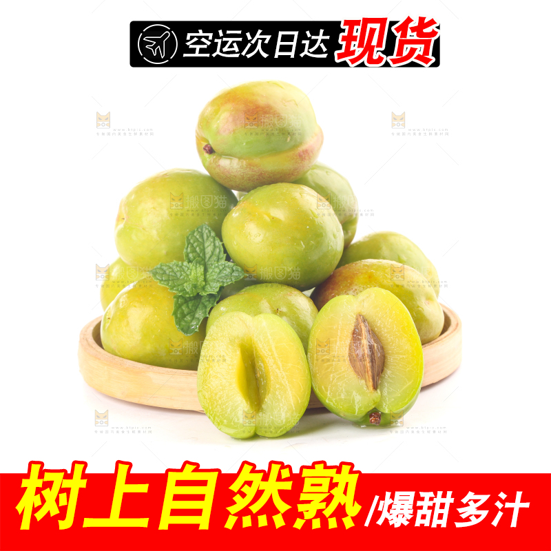 白底上的大梨杏